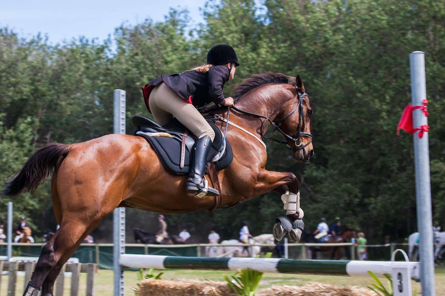 Find en sjov sportsgren for dit barn